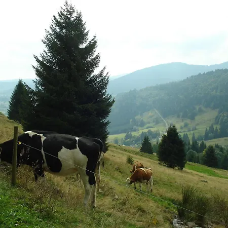 Wunderschoene Im Haus Schupp Mit Bester Aussicht Apartamento *
