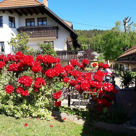 Wunderschoene Im Haus Schupp Mit Bester Aussicht Apartamento *
